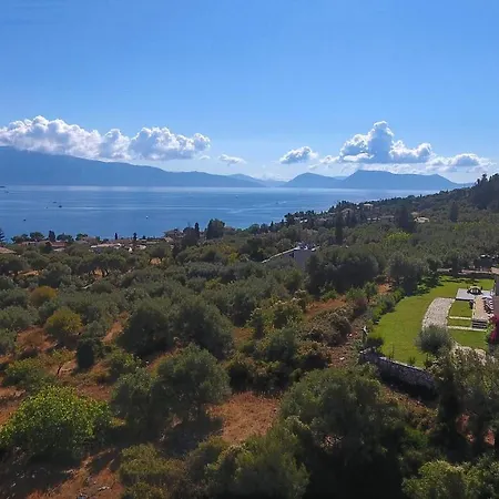 Artemis 니키아나